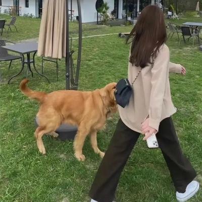 最后的猎人